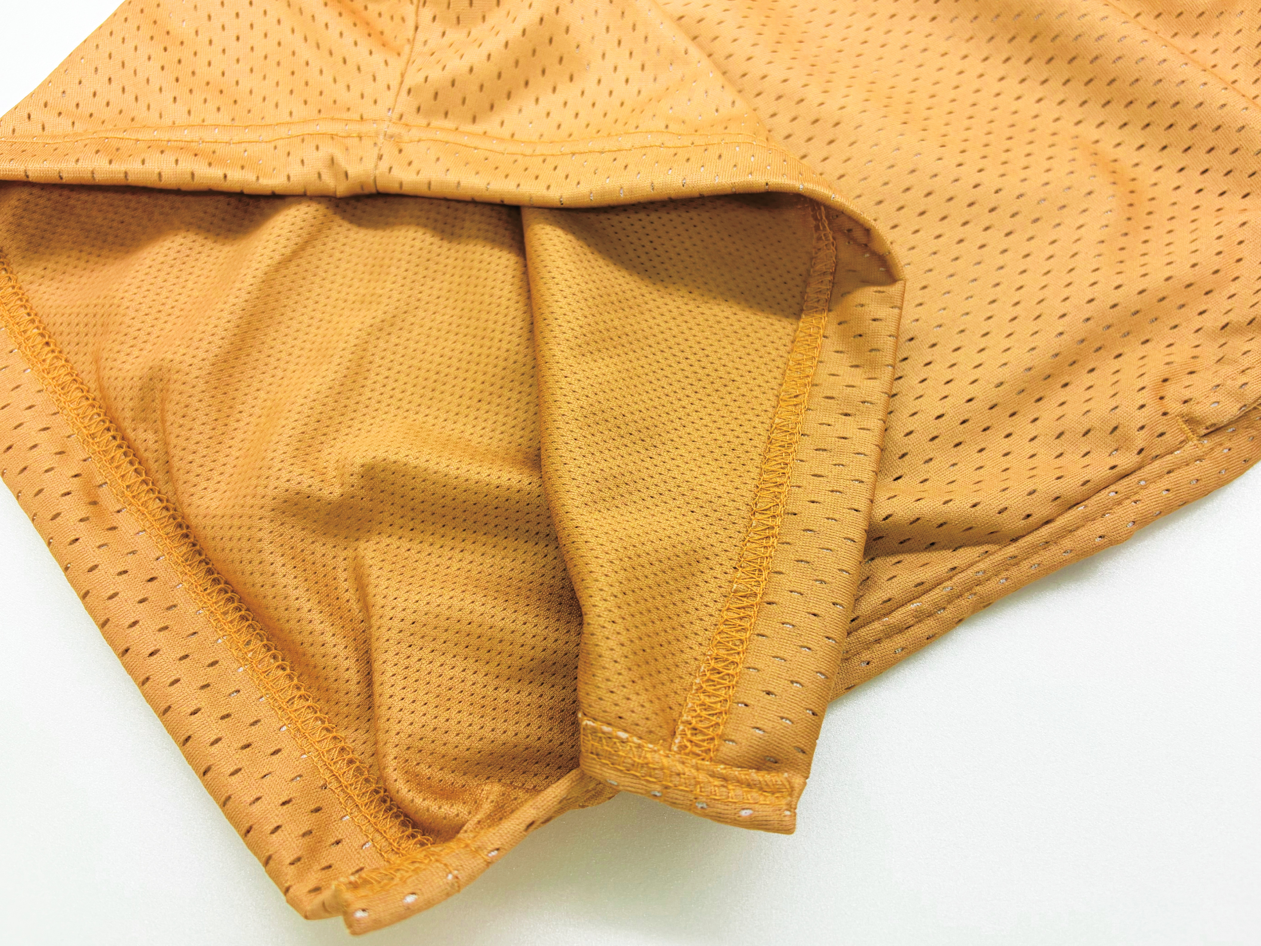 カレッジロゴ　メッシュトレーニングショーツ 写真4