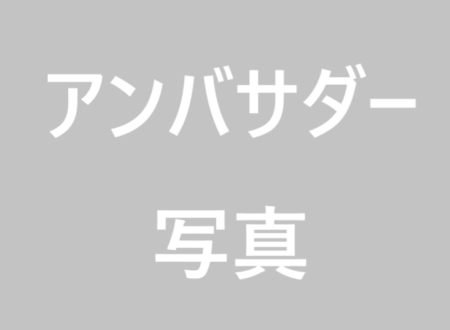 ambassador